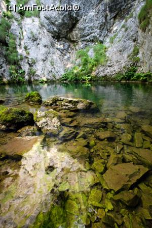 [P06] Izbucul Tăuzului » foto by Remicade
 - 
<span class="allrVoted glyphicon glyphicon-heart hidden" id="av769675"></span>
<a class="m-l-10 hidden" id="sv769675" onclick="voting_Foto_DelVot(,769675,13782)" role="button">șterge vot <span class="glyphicon glyphicon-remove"></span></a>
<a id="v9769675" class=" c-red"  onclick="voting_Foto_SetVot(769675)" role="button"><span class="glyphicon glyphicon-heart-empty"></span> <b>LIKE</b> = Votează poza</a> <img class="hidden"  id="f769675W9" src="/imagini/loader.gif" border="0" /><span class="AjErrMes hidden" id="e769675ErM"></span>