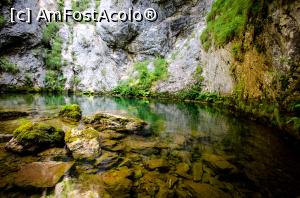 [P07] Izbucul Tăuzului » foto by Remicade
 - 
<span class="allrVoted glyphicon glyphicon-heart hidden" id="av769676"></span>
<a class="m-l-10 hidden" id="sv769676" onclick="voting_Foto_DelVot(,769676,13782)" role="button">șterge vot <span class="glyphicon glyphicon-remove"></span></a>
<a id="v9769676" class=" c-red"  onclick="voting_Foto_SetVot(769676)" role="button"><span class="glyphicon glyphicon-heart-empty"></span> <b>LIKE</b> = Votează poza</a> <img class="hidden"  id="f769676W9" src="/imagini/loader.gif" border="0" /><span class="AjErrMes hidden" id="e769676ErM"></span>