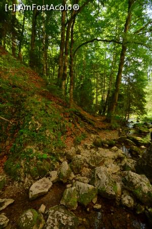 [P09] Poteca catre Izbucul Tăuzului » foto by Remicade
 - 
<span class="allrVoted glyphicon glyphicon-heart hidden" id="av769678"></span>
<a class="m-l-10 hidden" id="sv769678" onclick="voting_Foto_DelVot(,769678,13782)" role="button">șterge vot <span class="glyphicon glyphicon-remove"></span></a>
<a id="v9769678" class=" c-red"  onclick="voting_Foto_SetVot(769678)" role="button"><span class="glyphicon glyphicon-heart-empty"></span> <b>LIKE</b> = Votează poza</a> <img class="hidden"  id="f769678W9" src="/imagini/loader.gif" border="0" /><span class="AjErrMes hidden" id="e769678ErM"></span>