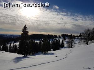 [P15]  -- <small>// FĂRĂ DESCRIERE</small> » foto by Kyandra
 - 
<span class="allrVoted glyphicon glyphicon-heart hidden" id="av830602"></span>
<a class="m-l-10 hidden" id="sv830602" onclick="voting_Foto_DelVot(,830602,13782)" role="button">șterge vot <span class="glyphicon glyphicon-remove"></span></a>
<a id="v9830602" class=" c-red"  onclick="voting_Foto_SetVot(830602)" role="button"><span class="glyphicon glyphicon-heart-empty"></span> <b>LIKE</b> = Votează poza</a> <img class="hidden"  id="f830602W9" src="/imagini/loader.gif" border="0" /><span class="AjErrMes hidden" id="e830602ErM"></span>