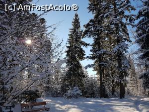 [P08]  -- <small>// FĂRĂ DESCRIERE</small> » foto by Kyandra
 - 
<span class="allrVoted glyphicon glyphicon-heart hidden" id="av830595"></span>
<a class="m-l-10 hidden" id="sv830595" onclick="voting_Foto_DelVot(,830595,13782)" role="button">șterge vot <span class="glyphicon glyphicon-remove"></span></a>
<a id="v9830595" class=" c-red"  onclick="voting_Foto_SetVot(830595)" role="button"><span class="glyphicon glyphicon-heart-empty"></span> <b>LIKE</b> = Votează poza</a> <img class="hidden"  id="f830595W9" src="/imagini/loader.gif" border="0" /><span class="AjErrMes hidden" id="e830595ErM"></span>