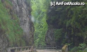 [P18] Pod în Cheile Ordâncușii. Gârda de Sus, Parcul Național Apuseni.  » foto by traian.leuca †
 - 
<span class="allrVoted glyphicon glyphicon-heart hidden" id="av407424"></span>
<a class="m-l-10 hidden" id="sv407424" onclick="voting_Foto_DelVot(,407424,13782)" role="button">șterge vot <span class="glyphicon glyphicon-remove"></span></a>
<a id="v9407424" class=" c-red"  onclick="voting_Foto_SetVot(407424)" role="button"><span class="glyphicon glyphicon-heart-empty"></span> <b>LIKE</b> = Votează poza</a> <img class="hidden"  id="f407424W9" src="/imagini/loader.gif" border="0" /><span class="AjErrMes hidden" id="e407424ErM"></span>