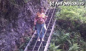 [P09] Scară de acces in Peștera Scărișoara. Gârda de Sus, Parcul Național Apuseni.  » foto by traian.leuca †
 - 
<span class="allrVoted glyphicon glyphicon-heart hidden" id="av407415"></span>
<a class="m-l-10 hidden" id="sv407415" onclick="voting_Foto_DelVot(,407415,13782)" role="button">șterge vot <span class="glyphicon glyphicon-remove"></span></a>
<a id="v9407415" class=" c-red"  onclick="voting_Foto_SetVot(407415)" role="button"><span class="glyphicon glyphicon-heart-empty"></span> <b>LIKE</b> = Votează poza</a> <img class="hidden"  id="f407415W9" src="/imagini/loader.gif" border="0" /><span class="AjErrMes hidden" id="e407415ErM"></span>