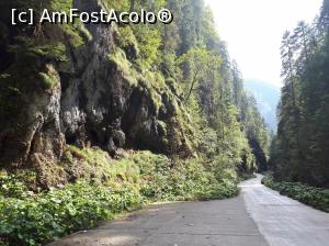 [P24] Cheile Ordâncușii, comuna Gârda de Sus, județul Alba » foto by Dana2008
 - 
<span class="allrVoted glyphicon glyphicon-heart hidden" id="av1041205"></span>
<a class="m-l-10 hidden" id="sv1041205" onclick="voting_Foto_DelVot(,1041205,13782)" role="button">șterge vot <span class="glyphicon glyphicon-remove"></span></a>
<a id="v91041205" class=" c-red"  onclick="voting_Foto_SetVot(1041205)" role="button"><span class="glyphicon glyphicon-heart-empty"></span> <b>LIKE</b> = Votează poza</a> <img class="hidden"  id="f1041205W9" src="/imagini/loader.gif" border="0" /><span class="AjErrMes hidden" id="e1041205ErM"></span>