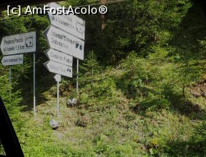 [P34] Cheile Ordâncușii, comuna Gârda de Sus, județul Alba » foto by Dana2008
 - 
<span class="allrVoted glyphicon glyphicon-heart hidden" id="av1041215"></span>
<a class="m-l-10 hidden" id="sv1041215" onclick="voting_Foto_DelVot(,1041215,13782)" role="button">șterge vot <span class="glyphicon glyphicon-remove"></span></a>
<a id="v91041215" class=" c-red"  onclick="voting_Foto_SetVot(1041215)" role="button"><span class="glyphicon glyphicon-heart-empty"></span> <b>LIKE</b> = Votează poza</a> <img class="hidden"  id="f1041215W9" src="/imagini/loader.gif" border="0" /><span class="AjErrMes hidden" id="e1041215ErM"></span>