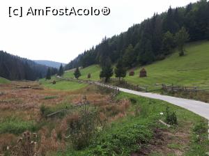[P05] drumul spre Cheile Ordâncușii, comuna Gârda de Sus, județul Alba, de la Pestera Scarisoara<p> peiaj pitoresc » foto by Dana2008
 - 
<span class="allrVoted glyphicon glyphicon-heart hidden" id="av1041186"></span>
<a class="m-l-10 hidden" id="sv1041186" onclick="voting_Foto_DelVot(,1041186,13782)" role="button">șterge vot <span class="glyphicon glyphicon-remove"></span></a>
<a id="v91041186" class=" c-red"  onclick="voting_Foto_SetVot(1041186)" role="button"><span class="glyphicon glyphicon-heart-empty"></span> <b>LIKE</b> = Votează poza</a> <img class="hidden"  id="f1041186W9" src="/imagini/loader.gif" border="0" /><span class="AjErrMes hidden" id="e1041186ErM"></span>