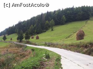 [P07] drumul spre Cheile Ordâncușii, comuna Gârda de Sus, județul Alba, de la Pestera Scarisoara<p> peiaj pitoresc » foto by Dana2008
 - 
<span class="allrVoted glyphicon glyphicon-heart hidden" id="av1041188"></span>
<a class="m-l-10 hidden" id="sv1041188" onclick="voting_Foto_DelVot(,1041188,13782)" role="button">șterge vot <span class="glyphicon glyphicon-remove"></span></a>
<a id="v91041188" class=" c-red"  onclick="voting_Foto_SetVot(1041188)" role="button"><span class="glyphicon glyphicon-heart-empty"></span> <b>LIKE</b> = Votează poza</a> <img class="hidden"  id="f1041188W9" src="/imagini/loader.gif" border="0" /><span class="AjErrMes hidden" id="e1041188ErM"></span>