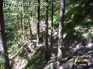 [P09] Pe drumul de &icirc;ntoarcere ... » foto by puiutea <span class="label label-default labelC_thin small">NEVOTABILĂ</span>