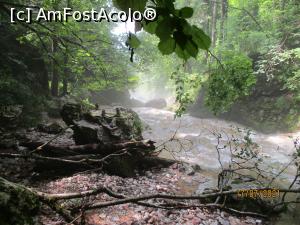 [P10] Furioase, chiar și a doua zi! » foto by puiutea
 - 
<span class="allrVoted glyphicon glyphicon-heart hidden" id="av1243756"></span>
<a class="m-l-10 hidden" id="sv1243756" onclick="voting_Foto_DelVot(,1243756,13782)" role="button">șterge vot <span class="glyphicon glyphicon-remove"></span></a>
<a id="v91243756" class=" c-red"  onclick="voting_Foto_SetVot(1243756)" role="button"><span class="glyphicon glyphicon-heart-empty"></span> <b>LIKE</b> = Votează poza</a> <img class="hidden"  id="f1243756W9" src="/imagini/loader.gif" border="0" /><span class="AjErrMes hidden" id="e1243756ErM"></span>