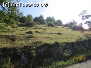 [P25] Pășunile "producătoare" de lapte și br&acirc;nză ... » foto by puiutea
 - 
<span class="allrVoted glyphicon glyphicon-heart hidden" id="av1243771"></span>
<a class="m-l-10 hidden" id="sv1243771" onclick="voting_Foto_DelVot(,1243771,13782)" role="button">șterge vot <span class="glyphicon glyphicon-remove"></span></a>
<a id="v91243771" class=" c-red"  onclick="voting_Foto_SetVot(1243771)" role="button"><span class="glyphicon glyphicon-heart-empty"></span> <b>LIKE</b> = Votează poza</a> <img class="hidden"  id="f1243771W9" src="/imagini/loader.gif" border="0" /><span class="AjErrMes hidden" id="e1243771ErM"></span>