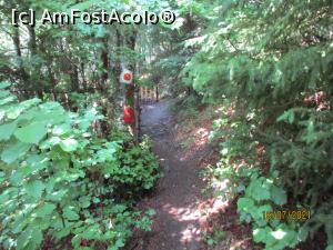 [P03] Din nou, drumul către Cascada Pătrăhăițești » foto by puiutea
 - 
<span class="allrVoted glyphicon glyphicon-heart hidden" id="av1243734"></span>
<a class="m-l-10 hidden" id="sv1243734" onclick="voting_Foto_DelVot(,1243734,13782)" role="button">șterge vot <span class="glyphicon glyphicon-remove"></span></a>
<a id="v91243734" class=" c-red"  onclick="voting_Foto_SetVot(1243734)" role="button"><span class="glyphicon glyphicon-heart-empty"></span> <b>LIKE</b> = Votează poza</a> <img class="hidden"  id="f1243734W9" src="/imagini/loader.gif" border="0" /><span class="AjErrMes hidden" id="e1243734ErM"></span>