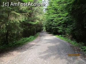 [P34] Pe drumul către Cascadă ... » foto by puiutea
 - 
<span class="allrVoted glyphicon glyphicon-heart hidden" id="av1243780"></span>
<a class="m-l-10 hidden" id="sv1243780" onclick="voting_Foto_DelVot(,1243780,13782)" role="button">șterge vot <span class="glyphicon glyphicon-remove"></span></a>
<a id="v91243780" class=" c-red"  onclick="voting_Foto_SetVot(1243780)" role="button"><span class="glyphicon glyphicon-heart-empty"></span> <b>LIKE</b> = Votează poza</a> <img class="hidden"  id="f1243780W9" src="/imagini/loader.gif" border="0" /><span class="AjErrMes hidden" id="e1243780ErM"></span>