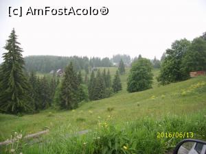 [P12] Frumusețea naturii » foto by puiutea
 - 
<span class="allrVoted glyphicon glyphicon-heart hidden" id="av751918"></span>
<a class="m-l-10 hidden" id="sv751918" onclick="voting_Foto_DelVot(,751918,13782)" role="button">șterge vot <span class="glyphicon glyphicon-remove"></span></a>
<a id="v9751918" class=" c-red"  onclick="voting_Foto_SetVot(751918)" role="button"><span class="glyphicon glyphicon-heart-empty"></span> <b>LIKE</b> = Votează poza</a> <img class="hidden"  id="f751918W9" src="/imagini/loader.gif" border="0" /><span class="AjErrMes hidden" id="e751918ErM"></span>