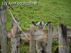 [P29] 'Mergeți la peșteră? ' » foto by puiutea
 - 
<span class="allrVoted glyphicon glyphicon-heart hidden" id="av751935"></span>
<a class="m-l-10 hidden" id="sv751935" onclick="voting_Foto_DelVot(,751935,13782)" role="button">șterge vot <span class="glyphicon glyphicon-remove"></span></a>
<a id="v9751935" class=" c-red"  onclick="voting_Foto_SetVot(751935)" role="button"><span class="glyphicon glyphicon-heart-empty"></span> <b>LIKE</b> = Votează poza</a> <img class="hidden"  id="f751935W9" src="/imagini/loader.gif" border="0" /><span class="AjErrMes hidden" id="e751935ErM"></span>