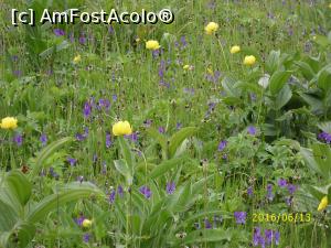 [P08] Iată de ce e așa bun laptele de pe aici!  » foto by puiutea
 - 
<span class="allrVoted glyphicon glyphicon-heart hidden" id="av751914"></span>
<a class="m-l-10 hidden" id="sv751914" onclick="voting_Foto_DelVot(,751914,13782)" role="button">șterge vot <span class="glyphicon glyphicon-remove"></span></a>
<a id="v9751914" class=" c-red"  onclick="voting_Foto_SetVot(751914)" role="button"><span class="glyphicon glyphicon-heart-empty"></span> <b>LIKE</b> = Votează poza</a> <img class="hidden"  id="f751914W9" src="/imagini/loader.gif" border="0" /><span class="AjErrMes hidden" id="e751914ErM"></span>