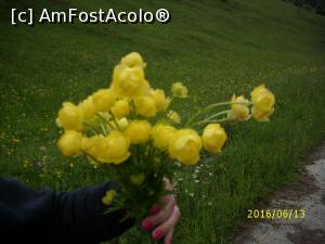 [P09] Pentru voi, din toată inima!  » foto by puiutea
 - 
<span class="allrVoted glyphicon glyphicon-heart hidden" id="av751915"></span>
<a class="m-l-10 hidden" id="sv751915" onclick="voting_Foto_DelVot(,751915,13782)" role="button">șterge vot <span class="glyphicon glyphicon-remove"></span></a>
<a id="v9751915" class=" c-red"  onclick="voting_Foto_SetVot(751915)" role="button"><span class="glyphicon glyphicon-heart-empty"></span> <b>LIKE</b> = Votează poza</a> <img class="hidden"  id="f751915W9" src="/imagini/loader.gif" border="0" /><span class="AjErrMes hidden" id="e751915ErM"></span>