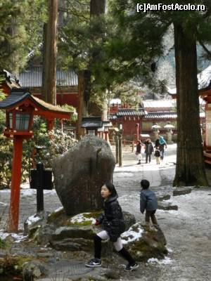 [P100] Gata. La revedere Nikko.  » foto by TraianS
 - 
<span class="allrVoted glyphicon glyphicon-heart hidden" id="av408461"></span>
<a class="m-l-10 hidden" id="sv408461" onclick="voting_Foto_DelVot(,408461,13808)" role="button">șterge vot <span class="glyphicon glyphicon-remove"></span></a>
<a id="v9408461" class=" c-red"  onclick="voting_Foto_SetVot(408461)" role="button"><span class="glyphicon glyphicon-heart-empty"></span> <b>LIKE</b> = Votează poza</a> <img class="hidden"  id="f408461W9" src="/imagini/loader.gif" border="0" /><span class="AjErrMes hidden" id="e408461ErM"></span>