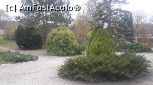 [P08] Vegetaţie în grădina hotelului Lenas West din Viena, Austria » foto by traian.leuca †
 - 
<span class="allrVoted glyphicon glyphicon-heart hidden" id="av1083164"></span>
<a class="m-l-10 hidden" id="sv1083164" onclick="voting_Foto_DelVot(,1083164,13814)" role="button">șterge vot <span class="glyphicon glyphicon-remove"></span></a>
<a id="v91083164" class=" c-red"  onclick="voting_Foto_SetVot(1083164)" role="button"><span class="glyphicon glyphicon-heart-empty"></span> <b>LIKE</b> = Votează poza</a> <img class="hidden"  id="f1083164W9" src="/imagini/loader.gif" border="0" /><span class="AjErrMes hidden" id="e1083164ErM"></span>