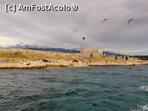 [P74] Insula Goli cu fosta închisoare politică pentru bărbați » foto by crismis
 - 
<span class="allrVoted glyphicon glyphicon-heart hidden" id="av1339075"></span>
<a class="m-l-10 hidden" id="sv1339075" onclick="voting_Foto_DelVot(,1339075,13897)" role="button">șterge vot <span class="glyphicon glyphicon-remove"></span></a>
<a id="v91339075" class=" c-red"  onclick="voting_Foto_SetVot(1339075)" role="button"><span class="glyphicon glyphicon-heart-empty"></span> <b>LIKE</b> = Votează poza</a> <img class="hidden"  id="f1339075W9" src="/imagini/loader.gif" border="0" /><span class="AjErrMes hidden" id="e1339075ErM"></span>