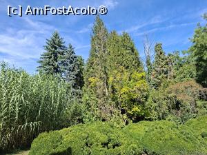 [P03] Parcul dendrologic (Arboretum) din Simeria » foto by Carmen Ion
 - 
<span class="allrVoted glyphicon glyphicon-heart hidden" id="av1511402"></span>
<a class="m-l-10 hidden" id="sv1511402" onclick="voting_Foto_DelVot(,1511402,13964)" role="button">șterge vot <span class="glyphicon glyphicon-remove"></span></a>
<a id="v91511402" class=" c-red"  onclick="voting_Foto_SetVot(1511402)" role="button"><span class="glyphicon glyphicon-heart-empty"></span> <b>LIKE</b> = Votează poza</a> <img class="hidden"  id="f1511402W9" src="/imagini/loader.gif" border="0" /><span class="AjErrMes hidden" id="e1511402ErM"></span>