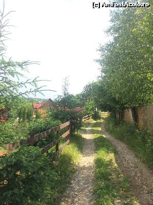 [P01] Drumul spre cabana » foto by Ana Cristina
 - 
<span class="allrVoted glyphicon glyphicon-heart hidden" id="av551547"></span>
<a class="m-l-10 hidden" id="sv551547" onclick="voting_Foto_DelVot(,551547,14116)" role="button">șterge vot <span class="glyphicon glyphicon-remove"></span></a>
<a id="v9551547" class=" c-red"  onclick="voting_Foto_SetVot(551547)" role="button"><span class="glyphicon glyphicon-heart-empty"></span> <b>LIKE</b> = Votează poza</a> <img class="hidden"  id="f551547W9" src="/imagini/loader.gif" border="0" /><span class="AjErrMes hidden" id="e551547ErM"></span>