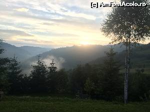 [P05]  -- <small>// FĂRĂ DESCRIERE</small> » foto by Ana Cristina
 - 
<span class="allrVoted glyphicon glyphicon-heart hidden" id="av551551"></span>
<a class="m-l-10 hidden" id="sv551551" onclick="voting_Foto_DelVot(,551551,14116)" role="button">șterge vot <span class="glyphicon glyphicon-remove"></span></a>
<a id="v9551551" class=" c-red"  onclick="voting_Foto_SetVot(551551)" role="button"><span class="glyphicon glyphicon-heart-empty"></span> <b>LIKE</b> = Votează poza</a> <img class="hidden"  id="f551551W9" src="/imagini/loader.gif" border="0" /><span class="AjErrMes hidden" id="e551551ErM"></span>