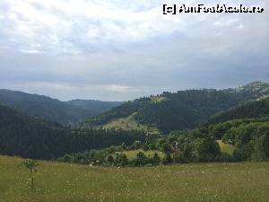 [P07]  -- <small>// FĂRĂ DESCRIERE</small> » foto by Ana Cristina
 - 
<span class="allrVoted glyphicon glyphicon-heart hidden" id="av551553"></span>
<a class="m-l-10 hidden" id="sv551553" onclick="voting_Foto_DelVot(,551553,14116)" role="button">șterge vot <span class="glyphicon glyphicon-remove"></span></a>
<a id="v9551553" class=" c-red"  onclick="voting_Foto_SetVot(551553)" role="button"><span class="glyphicon glyphicon-heart-empty"></span> <b>LIKE</b> = Votează poza</a> <img class="hidden"  id="f551553W9" src="/imagini/loader.gif" border="0" /><span class="AjErrMes hidden" id="e551553ErM"></span>