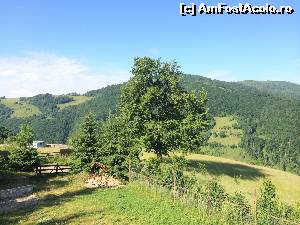 [P08]  -- <small>// FĂRĂ DESCRIERE</small> » foto by Ana Cristina
 - 
<span class="allrVoted glyphicon glyphicon-heart hidden" id="av551555"></span>
<a class="m-l-10 hidden" id="sv551555" onclick="voting_Foto_DelVot(,551555,14116)" role="button">șterge vot <span class="glyphicon glyphicon-remove"></span></a>
<a id="v9551555" class=" c-red"  onclick="voting_Foto_SetVot(551555)" role="button"><span class="glyphicon glyphicon-heart-empty"></span> <b>LIKE</b> = Votează poza</a> <img class="hidden"  id="f551555W9" src="/imagini/loader.gif" border="0" /><span class="AjErrMes hidden" id="e551555ErM"></span>