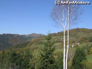 [P07] Case răsfirate pe coame în Apuseni » foto by Michi
 - 
<span class="allrVoted glyphicon glyphicon-heart hidden" id="av566534"></span>
<a class="m-l-10 hidden" id="sv566534" onclick="voting_Foto_DelVot(,566534,14116)" role="button">șterge vot <span class="glyphicon glyphicon-remove"></span></a>
<a id="v9566534" class=" c-red"  onclick="voting_Foto_SetVot(566534)" role="button"><span class="glyphicon glyphicon-heart-empty"></span> <b>LIKE</b> = Votează poza</a> <img class="hidden"  id="f566534W9" src="/imagini/loader.gif" border="0" /><span class="AjErrMes hidden" id="e566534ErM"></span>