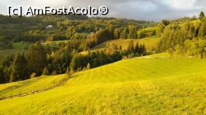 [P03] Pajiștea din Botești » foto by ams
 - 
<span class="allrVoted glyphicon glyphicon-heart hidden" id="av777021"></span>
<a class="m-l-10 hidden" id="sv777021" onclick="voting_Foto_DelVot(,777021,14116)" role="button">șterge vot <span class="glyphicon glyphicon-remove"></span></a>
<a id="v9777021" class=" c-red"  onclick="voting_Foto_SetVot(777021)" role="button"><span class="glyphicon glyphicon-heart-empty"></span> <b>LIKE</b> = Votează poza</a> <img class="hidden"  id="f777021W9" src="/imagini/loader.gif" border="0" /><span class="AjErrMes hidden" id="e777021ErM"></span>