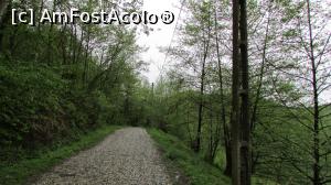 [P01] drumul spre Cetățuia, făcut pentru mașini. Vegetația din dreapta maschează râpa, in stânga ai munte, așa că nu prea ai cum întoarce mașina dacă te intersectezi cu alta masina!  » foto by Miriam
 - 
<span class="allrVoted glyphicon glyphicon-heart hidden" id="av731524"></span>
<a class="m-l-10 hidden" id="sv731524" onclick="voting_Foto_DelVot(,731524,14143)" role="button">șterge vot <span class="glyphicon glyphicon-remove"></span></a>
<a id="v9731524" class=" c-red"  onclick="voting_Foto_SetVot(731524)" role="button"><span class="glyphicon glyphicon-heart-empty"></span> <b>LIKE</b> = Votează poza</a> <img class="hidden"  id="f731524W9" src="/imagini/loader.gif" border="0" /><span class="AjErrMes hidden" id="e731524ErM"></span>