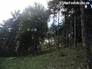 [P22] Cãciulata – Staţiune deloc sau foarte puţin promovatã. Mergem in Cheile Bistritei dupa vizitarea Manastirii Bistrita.  » foto by vega06
 - 
<span class="allrVoted glyphicon glyphicon-heart hidden" id="av604992"></span>
<a class="m-l-10 hidden" id="sv604992" onclick="voting_Foto_DelVot(,604992,14154)" role="button">șterge vot <span class="glyphicon glyphicon-remove"></span></a>
<a id="v9604992" class=" c-red"  onclick="voting_Foto_SetVot(604992)" role="button"><span class="glyphicon glyphicon-heart-empty"></span> <b>LIKE</b> = Votează poza</a> <img class="hidden"  id="f604992W9" src="/imagini/loader.gif" border="0" /><span class="AjErrMes hidden" id="e604992ErM"></span>