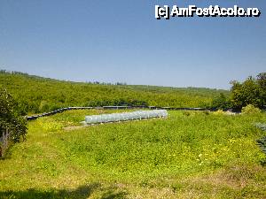 [P60] Mănăstirea Sihăstria Voronei: sere întreținute de monahi » foto by mariana.olaru
 - 
<span class="allrVoted glyphicon glyphicon-heart hidden" id="av421101"></span>
<a class="m-l-10 hidden" id="sv421101" onclick="voting_Foto_DelVot(,421101,14160)" role="button">șterge vot <span class="glyphicon glyphicon-remove"></span></a>
<a id="v9421101" class=" c-red"  onclick="voting_Foto_SetVot(421101)" role="button"><span class="glyphicon glyphicon-heart-empty"></span> <b>LIKE</b> = Votează poza</a> <img class="hidden"  id="f421101W9" src="/imagini/loader.gif" border="0" /><span class="AjErrMes hidden" id="e421101ErM"></span>