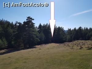 [P05] Spre Cascada Săritoarea, un obiectiv aproape necunoscut.  » foto by Floryn81
 - 
<span class="allrVoted glyphicon glyphicon-heart hidden" id="av1150857"></span>
<a class="m-l-10 hidden" id="sv1150857" onclick="voting_Foto_DelVot(,1150857,14170)" role="button">șterge vot <span class="glyphicon glyphicon-remove"></span></a>
<a id="v91150857" class=" c-red"  onclick="voting_Foto_SetVot(1150857)" role="button"><span class="glyphicon glyphicon-heart-empty"></span> <b>LIKE</b> = Votează poza</a> <img class="hidden"  id="f1150857W9" src="/imagini/loader.gif" border="0" /><span class="AjErrMes hidden" id="e1150857ErM"></span>
