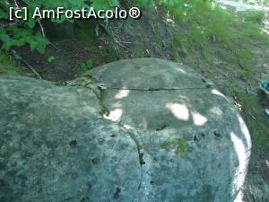 [P12] capatul turnunului, cel care bazaie » foto by buterfly*
 - 
<span class="allrVoted glyphicon glyphicon-heart hidden" id="av763293"></span>
<a class="m-l-10 hidden" id="sv763293" onclick="voting_Foto_DelVot(,763293,14170)" role="button">șterge vot <span class="glyphicon glyphicon-remove"></span></a>
<a id="v9763293" class=" c-red"  onclick="voting_Foto_SetVot(763293)" role="button"><span class="glyphicon glyphicon-heart-empty"></span> <b>LIKE</b> = Votează poza</a> <img class="hidden"  id="f763293W9" src="/imagini/loader.gif" border="0" /><span class="AjErrMes hidden" id="e763293ErM"></span>