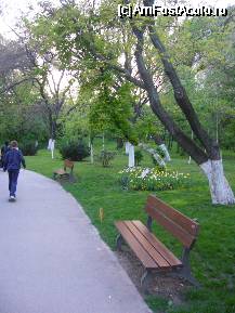 [P01] Parcul National - aleea de intrare » foto by magdalena
 - 
<span class="allrVoted glyphicon glyphicon-heart hidden" id="av67624"></span>
<a class="m-l-10 hidden" id="sv67624" onclick="voting_Foto_DelVot(,67624,14175)" role="button">șterge vot <span class="glyphicon glyphicon-remove"></span></a>
<a id="v967624" class=" c-red"  onclick="voting_Foto_SetVot(67624)" role="button"><span class="glyphicon glyphicon-heart-empty"></span> <b>LIKE</b> = Votează poza</a> <img class="hidden"  id="f67624W9" src="/imagini/loader.gif" border="0" /><span class="AjErrMes hidden" id="e67624ErM"></span>