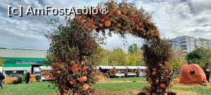 [P05] Decor de toamnă. » foto by tata123 🔱
 - 
<span class="allrVoted glyphicon glyphicon-heart hidden" id="av1503738"></span>
<a class="m-l-10 hidden" id="sv1503738" onclick="voting_Foto_DelVot(,1503738,14175)" role="button">șterge vot <span class="glyphicon glyphicon-remove"></span></a>
<a id="v91503738" class=" c-red"  onclick="voting_Foto_SetVot(1503738)" role="button"><span class="glyphicon glyphicon-heart-empty"></span> <b>LIKE</b> = Votează poza</a> <img class="hidden"  id="f1503738W9" src="/imagini/loader.gif" border="0" /><span class="AjErrMes hidden" id="e1503738ErM"></span>