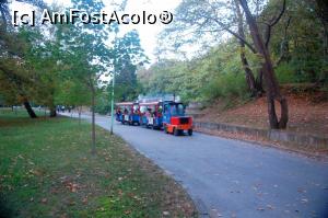 [P02] Parcul municipal „Sveti vraci” Sandaski - are și „titicar”!  » foto by Dragoș_MD
 - 
<span class="allrVoted glyphicon glyphicon-heart hidden" id="av814955"></span>
<a class="m-l-10 hidden" id="sv814955" onclick="voting_Foto_DelVot(,814955,14189)" role="button">șterge vot <span class="glyphicon glyphicon-remove"></span></a>
<a id="v9814955" class=" c-red"  onclick="voting_Foto_SetVot(814955)" role="button"><span class="glyphicon glyphicon-heart-empty"></span> <b>LIKE</b> = Votează poza</a> <img class="hidden"  id="f814955W9" src="/imagini/loader.gif" border="0" /><span class="AjErrMes hidden" id="e814955ErM"></span>