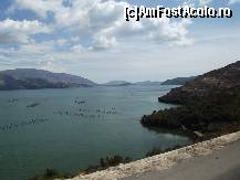 [P23] Scoicile de poza anterioara au fost crescute aici, probabil, in Lacul Butrint, intr-una din aceste ferme.  » foto by irinad
 - 
<span class="allrVoted glyphicon glyphicon-heart hidden" id="av490467"></span>
<a class="m-l-10 hidden" id="sv490467" onclick="voting_Foto_DelVot(,490467,14195)" role="button">șterge vot <span class="glyphicon glyphicon-remove"></span></a>
<a id="v9490467" class=" c-red"  onclick="voting_Foto_SetVot(490467)" role="button"><span class="glyphicon glyphicon-heart-empty"></span> <b>LIKE</b> = Votează poza</a> <img class="hidden"  id="f490467W9" src="/imagini/loader.gif" border="0" /><span class="AjErrMes hidden" id="e490467ErM"></span>