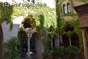 [P14] Ravello » foto by Daniela33
 - 
<span class="allrVoted glyphicon glyphicon-heart hidden" id="av755742"></span>
<a class="m-l-10 hidden" id="sv755742" onclick="voting_Foto_DelVot(,755742,14241)" role="button">șterge vot <span class="glyphicon glyphicon-remove"></span></a>
<a id="v9755742" class=" c-red"  onclick="voting_Foto_SetVot(755742)" role="button"><span class="glyphicon glyphicon-heart-empty"></span> <b>LIKE</b> = Votează poza</a> <img class="hidden"  id="f755742W9" src="/imagini/loader.gif" border="0" /><span class="AjErrMes hidden" id="e755742ErM"></span>