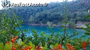 [P13] santa margerita ligure » foto by lalely
 - 
<span class="allrVoted glyphicon glyphicon-heart hidden" id="av804017"></span>
<a class="m-l-10 hidden" id="sv804017" onclick="voting_Foto_DelVot(,804017,14241)" role="button">șterge vot <span class="glyphicon glyphicon-remove"></span></a>
<a id="v9804017" class=" c-red"  onclick="voting_Foto_SetVot(804017)" role="button"><span class="glyphicon glyphicon-heart-empty"></span> <b>LIKE</b> = Votează poza</a> <img class="hidden"  id="f804017W9" src="/imagini/loader.gif" border="0" /><span class="AjErrMes hidden" id="e804017ErM"></span>