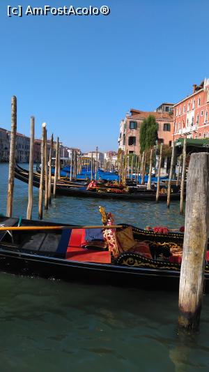 [P02] venezia » foto by lalely
 - 
<span class="allrVoted glyphicon glyphicon-heart hidden" id="av804006"></span>
<a class="m-l-10 hidden" id="sv804006" onclick="voting_Foto_DelVot(,804006,14241)" role="button">șterge vot <span class="glyphicon glyphicon-remove"></span></a>
<a id="v9804006" class=" c-red"  onclick="voting_Foto_SetVot(804006)" role="button"><span class="glyphicon glyphicon-heart-empty"></span> <b>LIKE</b> = Votează poza</a> <img class="hidden"  id="f804006W9" src="/imagini/loader.gif" border="0" /><span class="AjErrMes hidden" id="e804006ErM"></span>