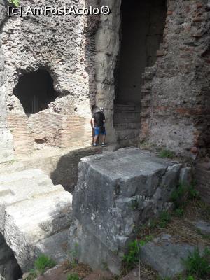 [P13] Pe urmele gladiatorilor » foto by catalinioan
 - 
<span class="allrVoted glyphicon glyphicon-heart hidden" id="av1081192"></span>
<a class="m-l-10 hidden" id="sv1081192" onclick="voting_Foto_DelVot(,1081192,14241)" role="button">șterge vot <span class="glyphicon glyphicon-remove"></span></a>
<a id="v91081192" class=" c-red"  onclick="voting_Foto_SetVot(1081192)" role="button"><span class="glyphicon glyphicon-heart-empty"></span> <b>LIKE</b> = Votează poza</a> <img class="hidden"  id="f1081192W9" src="/imagini/loader.gif" border="0" /><span class="AjErrMes hidden" id="e1081192ErM"></span>