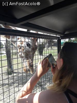 [P14] Safari » foto by catalinioan
 - 
<span class="allrVoted glyphicon glyphicon-heart hidden" id="av1081193"></span>
<a class="m-l-10 hidden" id="sv1081193" onclick="voting_Foto_DelVot(,1081193,14241)" role="button">șterge vot <span class="glyphicon glyphicon-remove"></span></a>
<a id="v91081193" class=" c-red"  onclick="voting_Foto_SetVot(1081193)" role="button"><span class="glyphicon glyphicon-heart-empty"></span> <b>LIKE</b> = Votează poza</a> <img class="hidden"  id="f1081193W9" src="/imagini/loader.gif" border="0" /><span class="AjErrMes hidden" id="e1081193ErM"></span>