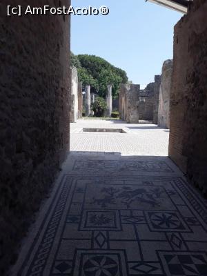 [P34]  -- <small>// FĂRĂ DESCRIERE</small> » foto by catalinioan
 - 
<span class="allrVoted glyphicon glyphicon-heart hidden" id="av1082244"></span>
<a class="m-l-10 hidden" id="sv1082244" onclick="voting_Foto_DelVot(,1082244,14241)" role="button">șterge vot <span class="glyphicon glyphicon-remove"></span></a>
<a id="v91082244" class=" c-red"  onclick="voting_Foto_SetVot(1082244)" role="button"><span class="glyphicon glyphicon-heart-empty"></span> <b>LIKE</b> = Votează poza</a> <img class="hidden"  id="f1082244W9" src="/imagini/loader.gif" border="0" /><span class="AjErrMes hidden" id="e1082244ErM"></span>