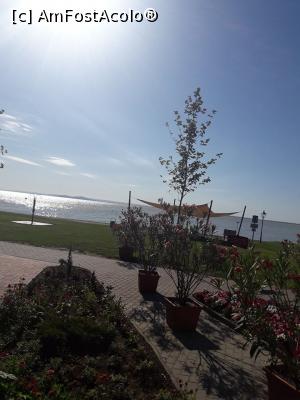 [P06] Balaton » foto by catalinioan
 - 
<span class="allrVoted glyphicon glyphicon-heart hidden" id="av1081185"></span>
<a class="m-l-10 hidden" id="sv1081185" onclick="voting_Foto_DelVot(,1081185,14241)" role="button">șterge vot <span class="glyphicon glyphicon-remove"></span></a>
<a id="v91081185" class=" c-red"  onclick="voting_Foto_SetVot(1081185)" role="button"><span class="glyphicon glyphicon-heart-empty"></span> <b>LIKE</b> = Votează poza</a> <img class="hidden"  id="f1081185W9" src="/imagini/loader.gif" border="0" /><span class="AjErrMes hidden" id="e1081185ErM"></span>