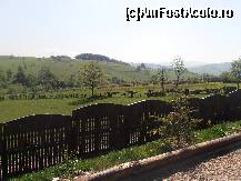 [P13]  -- <small>// FĂRĂ DESCRIERE</small> » foto by FLORINA SIMON
 - 
<span class="allrVoted glyphicon glyphicon-heart hidden" id="av426300"></span>
<a class="m-l-10 hidden" id="sv426300" onclick="voting_Foto_DelVot(,426300,14277)" role="button">șterge vot <span class="glyphicon glyphicon-remove"></span></a>
<a id="v9426300" class=" c-red"  onclick="voting_Foto_SetVot(426300)" role="button"><span class="glyphicon glyphicon-heart-empty"></span> <b>LIKE</b> = Votează poza</a> <img class="hidden"  id="f426300W9" src="/imagini/loader.gif" border="0" /><span class="AjErrMes hidden" id="e426300ErM"></span>