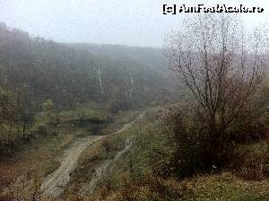 [P01] Drumul spre Mănăstirea Vărzărești, după ieșirea din com. Urechești » foto by Yersinia Pestis
 - 
<span class="allrVoted glyphicon glyphicon-heart hidden" id="av578472"></span>
<a class="m-l-10 hidden" id="sv578472" onclick="voting_Foto_DelVot(,578472,14300)" role="button">șterge vot <span class="glyphicon glyphicon-remove"></span></a>
<a id="v9578472" class=" c-red"  onclick="voting_Foto_SetVot(578472)" role="button"><span class="glyphicon glyphicon-heart-empty"></span> <b>LIKE</b> = Votează poza</a> <img class="hidden"  id="f578472W9" src="/imagini/loader.gif" border="0" /><span class="AjErrMes hidden" id="e578472ErM"></span>