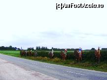 [P15] Azincourt - cavalerii francezi » foto by makuy*
 - 
<span class="allrVoted glyphicon glyphicon-heart hidden" id="av428671"></span>
<a class="m-l-10 hidden" id="sv428671" onclick="voting_Foto_DelVot(,428671,14314)" role="button">șterge vot <span class="glyphicon glyphicon-remove"></span></a>
<a id="v9428671" class=" c-red"  onclick="voting_Foto_SetVot(428671)" role="button"><span class="glyphicon glyphicon-heart-empty"></span> <b>LIKE</b> = Votează poza</a> <img class="hidden"  id="f428671W9" src="/imagini/loader.gif" border="0" /><span class="AjErrMes hidden" id="e428671ErM"></span>