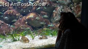 [P55] UN MOMENT DE RELAXARE ALATURI DE PESTISORI » foto by adutza_ghiocel
 - 
<span class="allrVoted glyphicon glyphicon-heart hidden" id="av756897"></span>
<a class="m-l-10 hidden" id="sv756897" onclick="voting_Foto_DelVot(,756897,14327)" role="button">șterge vot <span class="glyphicon glyphicon-remove"></span></a>
<a id="v9756897" class=" c-red"  onclick="voting_Foto_SetVot(756897)" role="button"><span class="glyphicon glyphicon-heart-empty"></span> <b>LIKE</b> = Votează poza</a> <img class="hidden"  id="f756897W9" src="/imagini/loader.gif" border="0" /><span class="AjErrMes hidden" id="e756897ErM"></span>